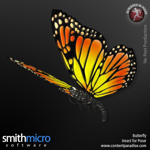 Butterfly by N/A