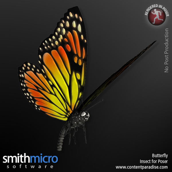 Butterfly by N/A