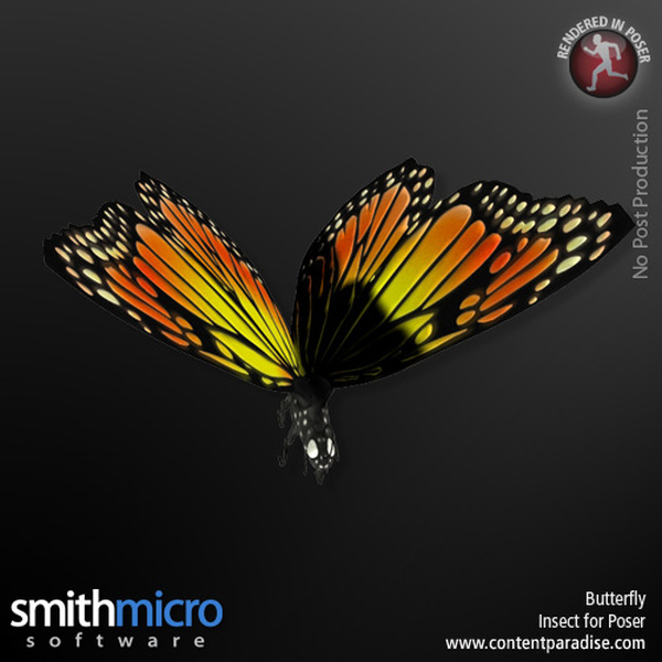 Butterfly by N/A