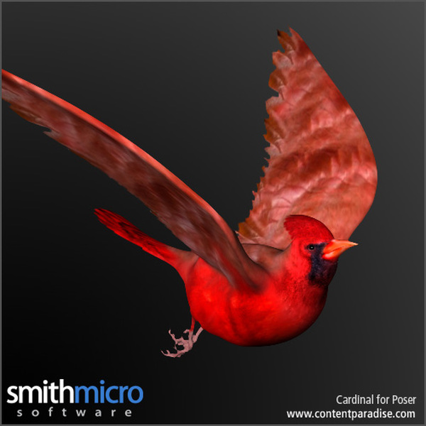 Cardinal by N/A