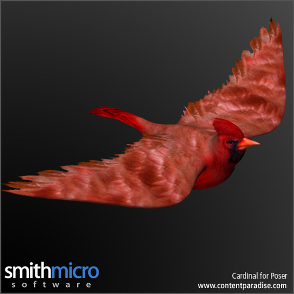 Cardinal by N/A