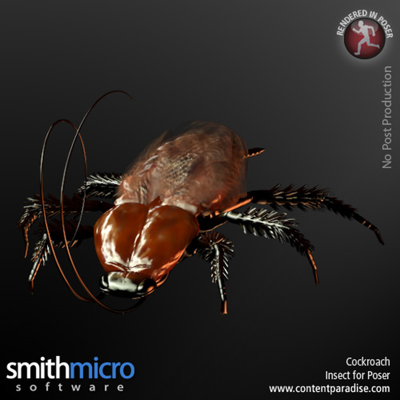 Cockroach by N/A