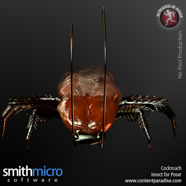 Cockroach by N/A