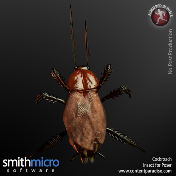 Cockroach by N/A