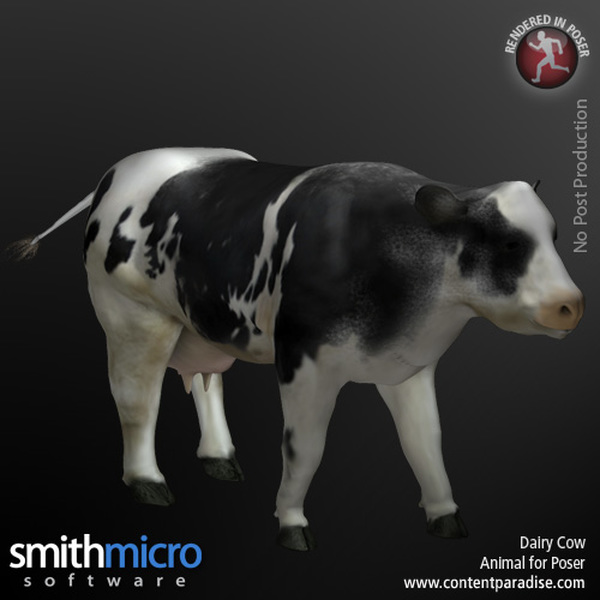 Dairy Cow by N/A