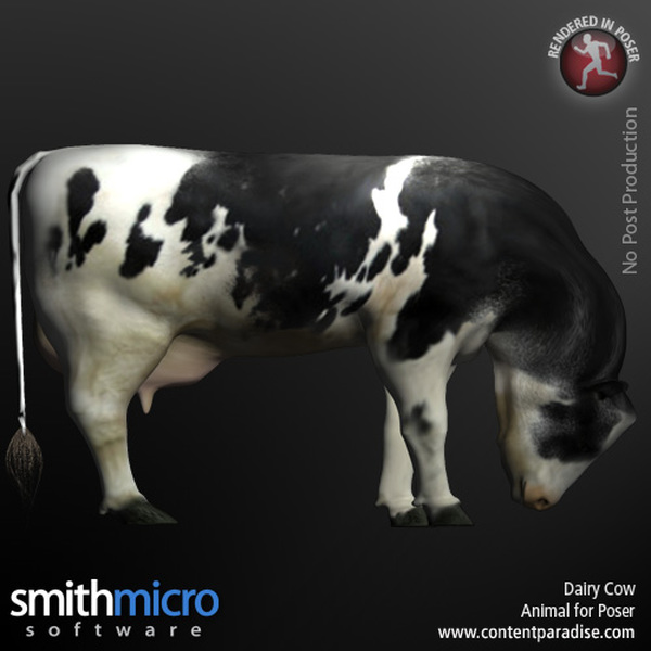 Dairy Cow by N/A