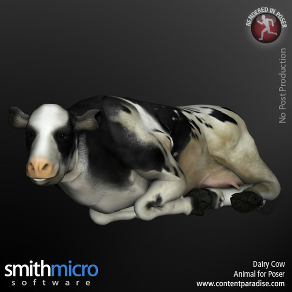 Dairy Cow by N/A