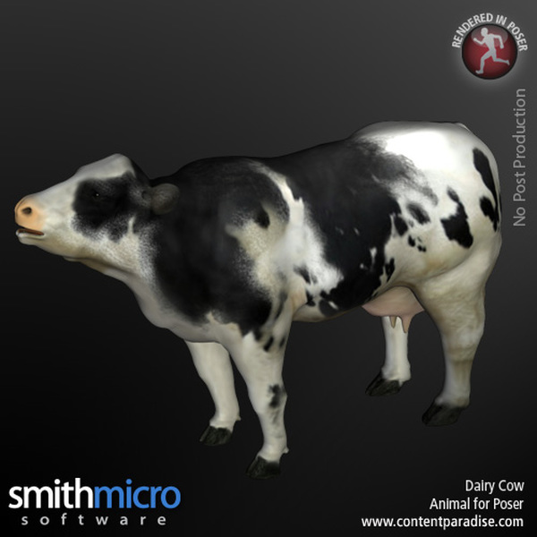 Dairy Cow by N/A