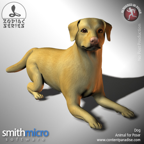 Dog (Chinese Zodiac Series) by N/A