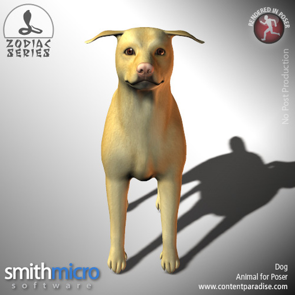 Dog (Chinese Zodiac Series) by N/A