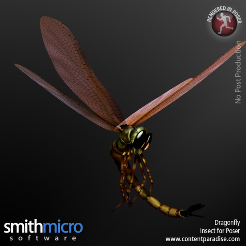 Dragonfly by N/A
