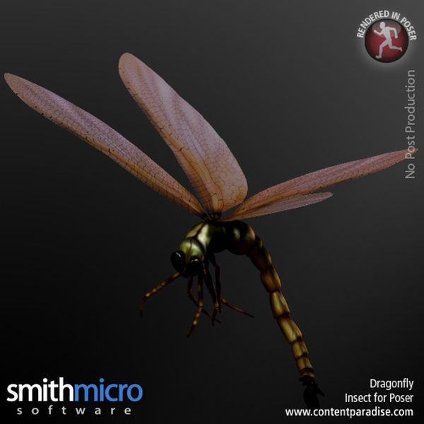 Dragonfly by N/A