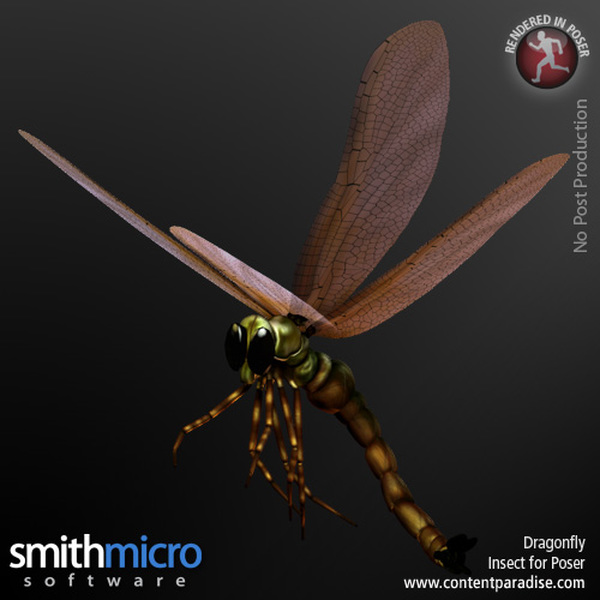 Dragonfly by N/A