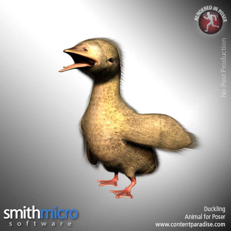 Duckling by N/A