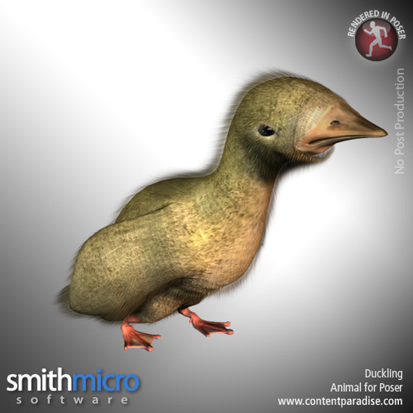 Duckling by N/A