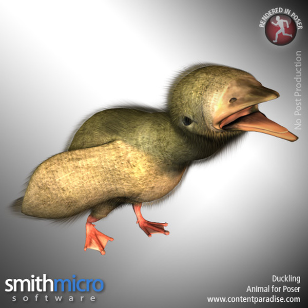 Duckling by N/A