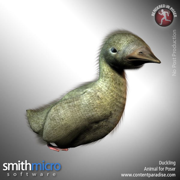 Duckling by N/A