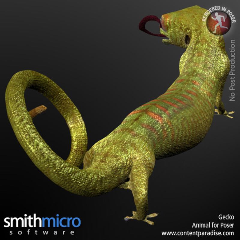 Gecko by N/A