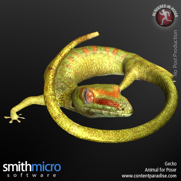 Gecko by N/A