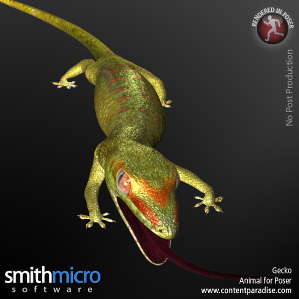Gecko by N/A
