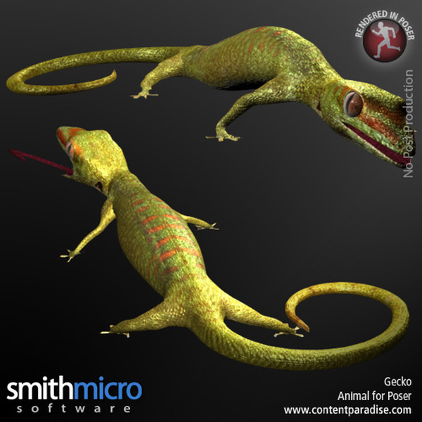 Gecko by N/A