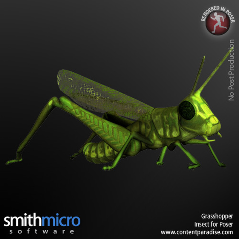 Grasshopper by N/A