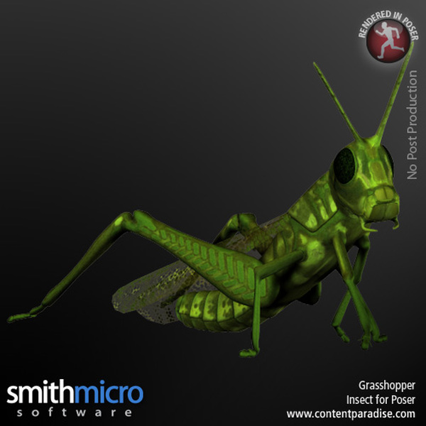 Grasshopper by N/A