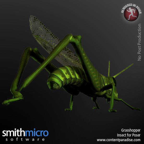 Grasshopper by N/A