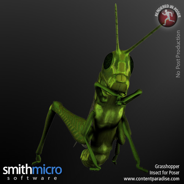 Grasshopper by N/A