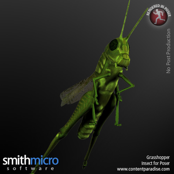 Grasshopper by N/A