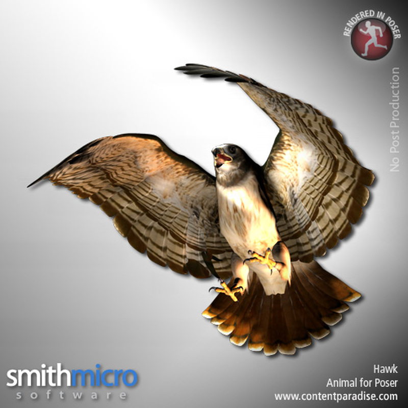 Hawk (Wildlife Series) by N/A