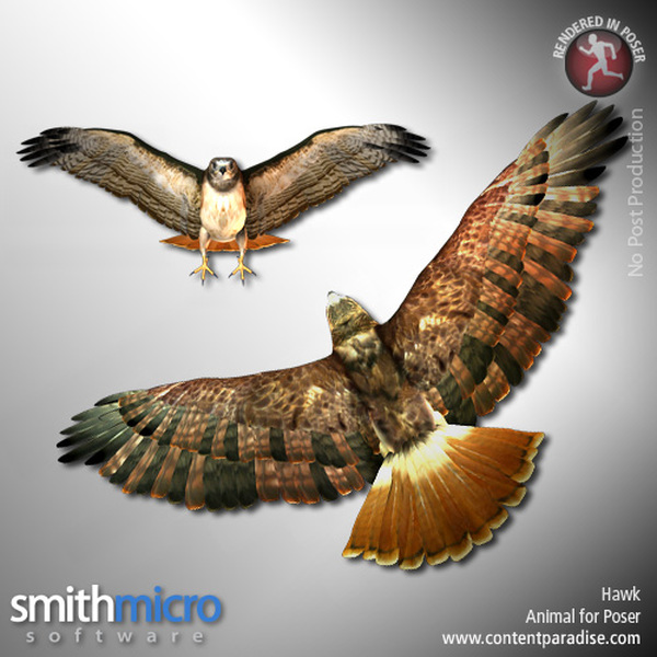 Hawk (Wildlife Series) by N/A
