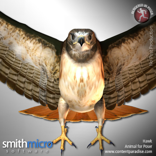 Hawk (Wildlife Series) by N/A