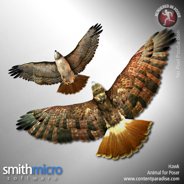Hawk (Wildlife Series) by N/A