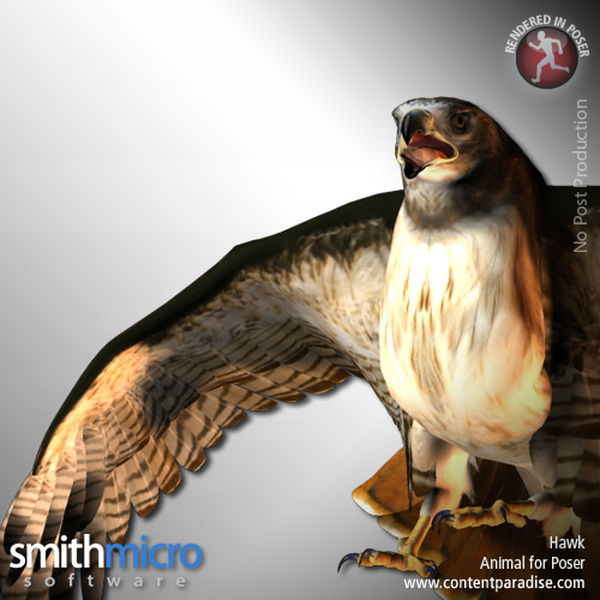 Hawk (Wildlife Series) by N/A
