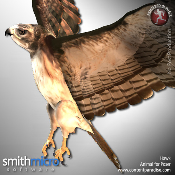 Hawk (Wildlife Series) by N/A