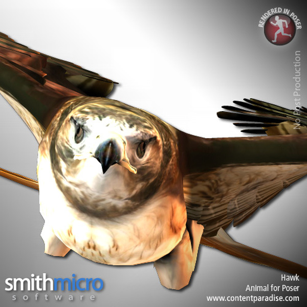 Hawk (Wildlife Series) by N/A