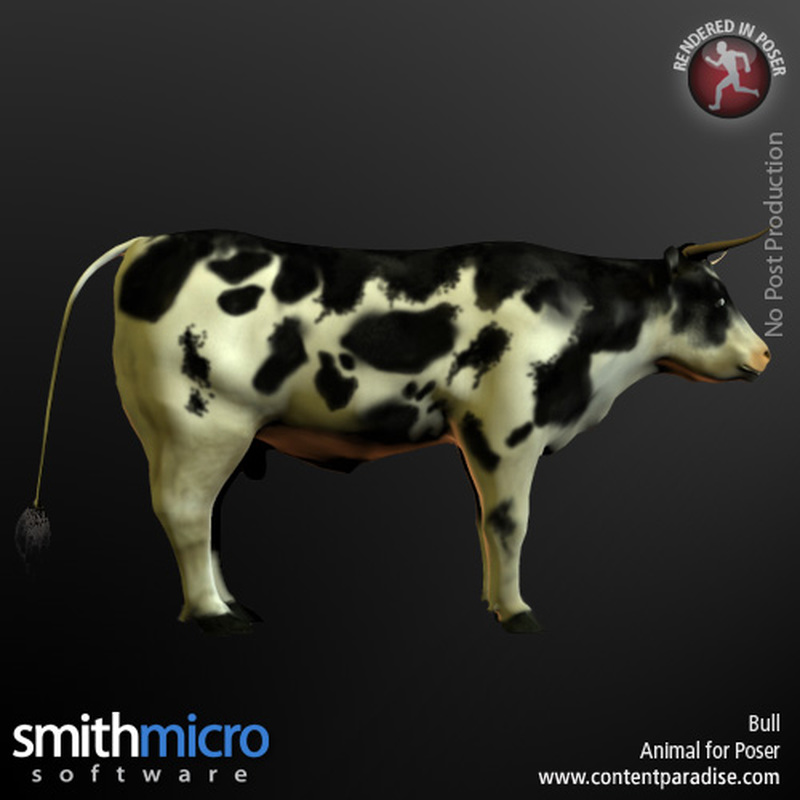 Holstein Bull by N/A