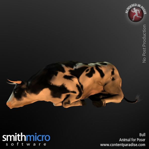 Holstein Bull by N/A
