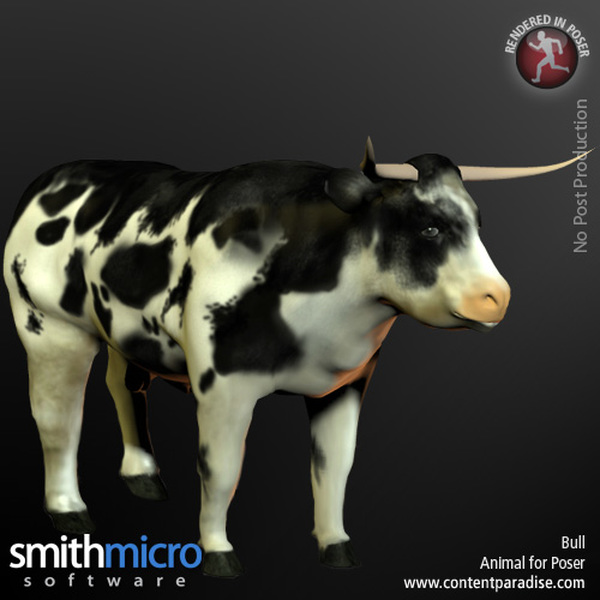 Holstein Bull by N/A