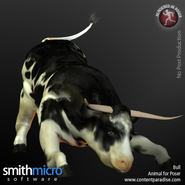 Holstein Bull by N/A