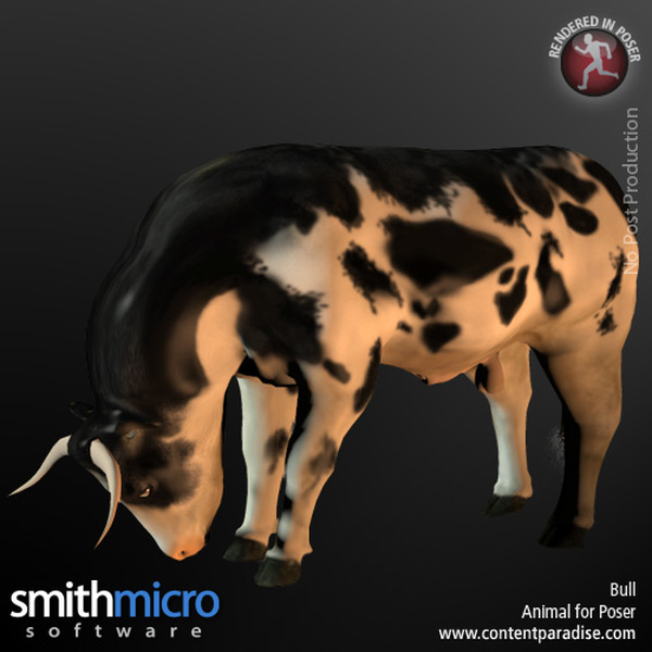Holstein Bull by N/A