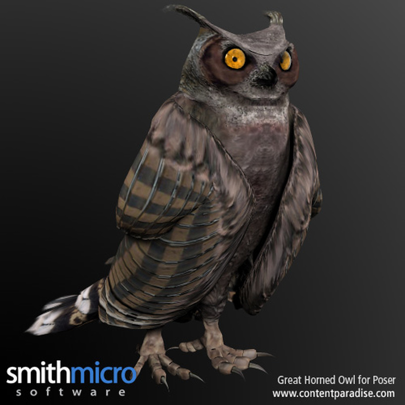 Horned Owl by N/A
