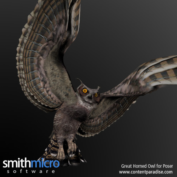 Horned Owl by N/A