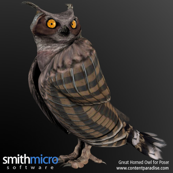 Horned Owl by N/A