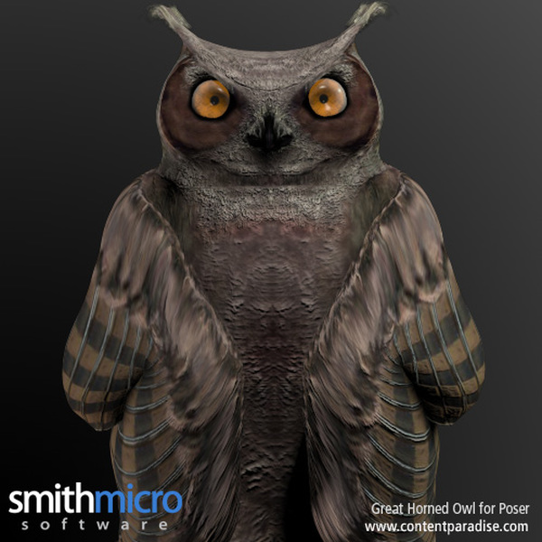 Horned Owl by N/A