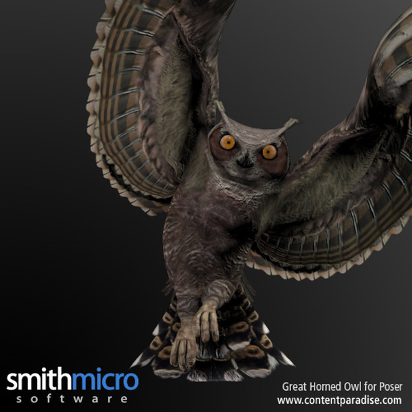 Horned Owl by N/A