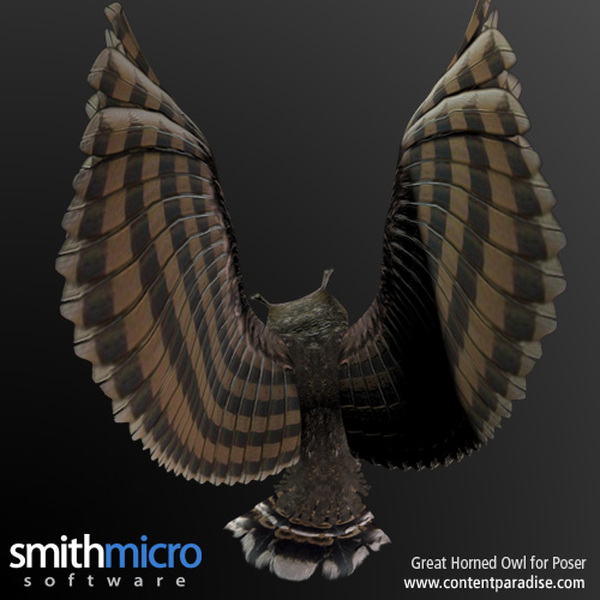 Horned Owl by N/A