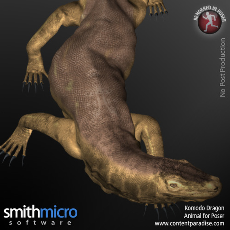 Komodo Dragon by N/A