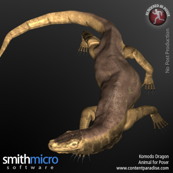 Komodo Dragon by N/A
